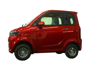 China Leading Electric Tricycle Fully Enclosed Trike
