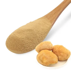 Lion Mane Mushroom Extract Hericium Erinaceus Mushroom Powder Lions Mane Mushroom Powder