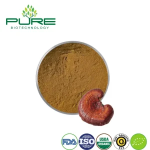 Reishi Mushroom Extract for Wellness