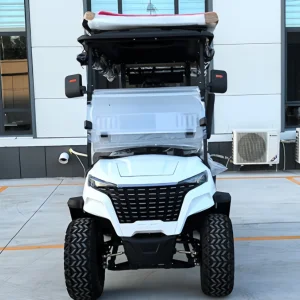 Four Seater Golf Cart Customizable Colors Seats Parts Lithium or Gas Options for Resorts Campus Shuttle Personal Use