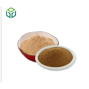 Shiitake Mushroom Extract Powder Food Grade with Polysaccharides Available in Bottle/Drum Packaging