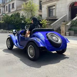 2025 Luxury Electric Golf Cart 8-11 Passengers Retro Classic