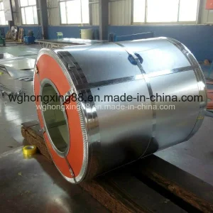 Cold /Hot Rolled /Color Coated/Carbon Galvanized Steel Coil PPGI for Boiler/Boat/Container Board
