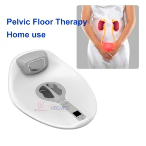 Female Urinary Incontinence Rejuvenecimiento Vaginal Electric Muscle Stimulator for Pelvic Floor EMS Seat