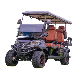 Electric Golf Cart