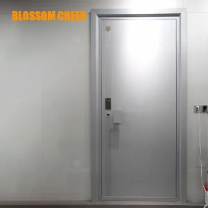 Blast-Resistant Panel with Aerospace-Grade Aluminum for Maximum Protection Door