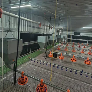 Energy-Efficient Broiler Equipment with Intelligent Air Circulation and Negative Pressure Ventilation Technology.