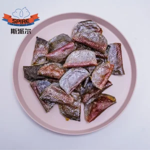 Alimento seco para perros en forma de dumpling de salmón deshidratado rico en antioxidantes para potenciar la defensa inmunológica