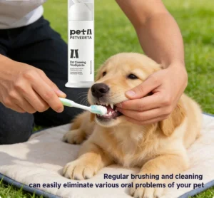 Long-Lasting Pet Dental Care Solution for Extended Freshness
