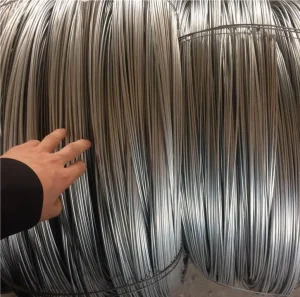 Hot Dipped Galvanized Spring Steel Wire