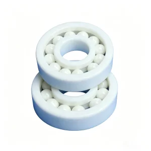 Ceramic Bearing