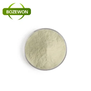 Food Grade Mung Bean Protein Powder 90% Isolate