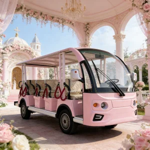 14 Seater Buggy