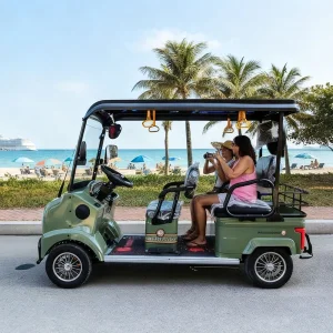 HLD 2000W 60V Sightseeing Ebike