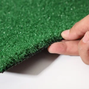 Gym Equipment Artificial Grass
