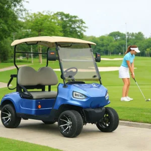 Custom 2-Seater Luxury Off-Road Electric Golf Cart