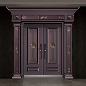 Modern Metal Security Door