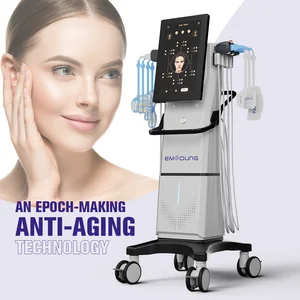 Commercial EMS RF Facial Contouring Equipment