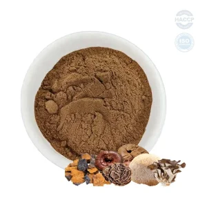 Organic Mushroom Extract Blend Powder