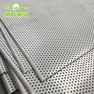 Stainless Steel Plate Mesh