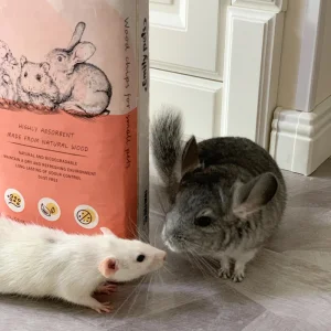 China Wood Shaving Animal Bedding From China for Pet Waste Disposal