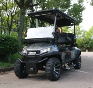 Buggy de Golf Eléctrico de Lujo