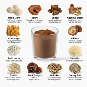 Organic 10 Mushroom Complex Powder 1kg Bulk for Immunity &amp; Brain Health, High Potency Private Label Supplement