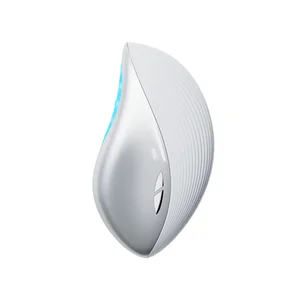 Multifunction Portable Home Use RF Beauty Instrument EMS Facial Beauty Device for Lifting Tighten Skin