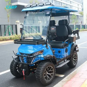 Carro de Golfe a Gasolina 4X4 Carrinhos de Golfe com Controle Remoto Carrinhos de Golfe Elétricos à Venda