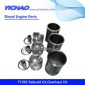 Ty395 Diesel Engine