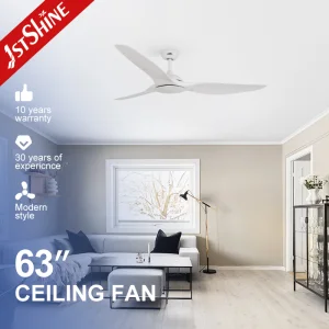 1stshine Ceiling Fan 63 Inches DC Motor Large Size