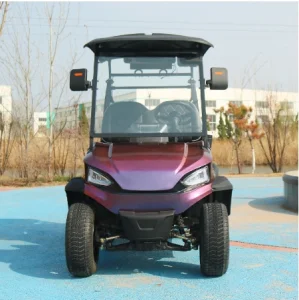 Luxury New Custom Golf Carts for Sale Powered Golf Buggy Scooter