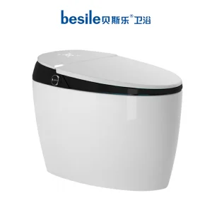 Smart Toilet with Advanced Bidet Function Self Cleaning Nozzle and Warm Air Dryer
