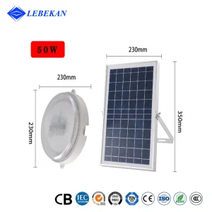 Indoor Lighting Double Heads 60W 80W 100W Interior Board Moon Light Emergency Free Electricity LED Solar Ceiling Lights