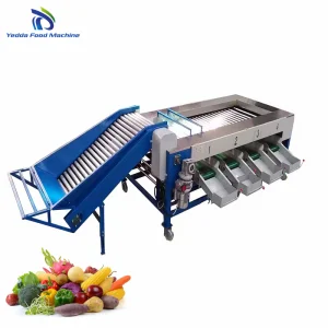 Cutting-Edge Produce Sorting and Packing System