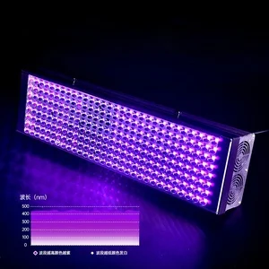 UV Curing Light Machine for Home Paint Resin Glue