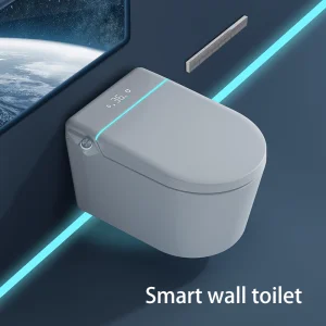 Wall Hung Water Closet