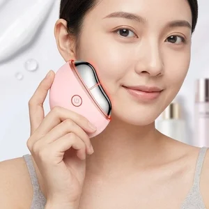 2026 Hot-selling Face Lifting Device EMS Heating Massage Device Vibration Adjustable Handhold Beauty Device Red Light Therapy