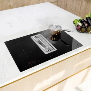Home Appliances Induction Cooker With 2 Burners Induction Built in Oven Germany IGBT