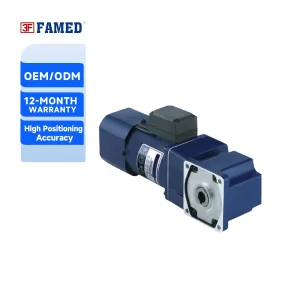 High Precision 220V/380V AC Micro Geared Motor for Sorting