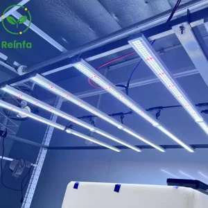 Reinfa High Quality Samsung Powered 650W Full Spectrum LED Grow Light for Indoor Plants