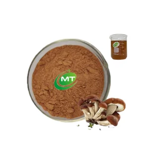 Fábrica de Suplementos Orgânicos Fornece Extrato de Cogumelo Agrocybe Chaxingu