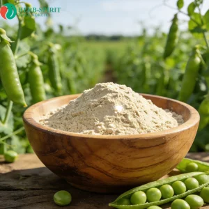 100% Organic Hydrolyzed Pea Protein Isolate Powder