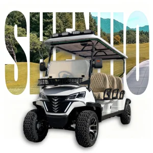 Luxury 2025 Sdlanch 6 Passenger Golf Cart Classic