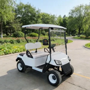 off-Road Golf Cart with Roof Rack for Luggage