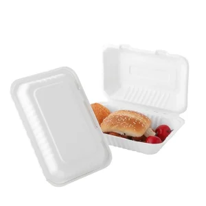 Wholesale Custom Compostable Fast Food Container Disposable Biodegradable Supermarket Box Sugarcane Tableware