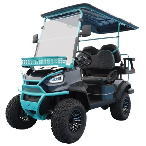Wholesale 48V Electric Buggy