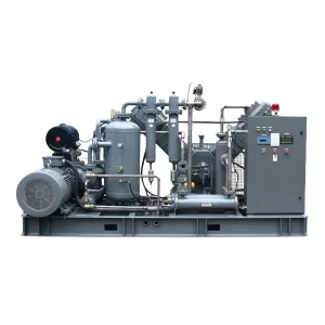 Quiet High Pressure Oil-Free Air Compressor for Food-Grade Pet Plastic Bottle Manufacturing