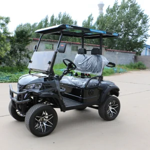 High Performance Customizable Electric Golf Cart 1-2Seater