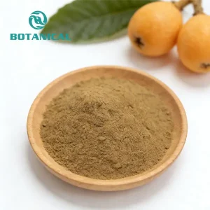 Wholesale loquat leaf extract